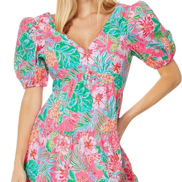 NWT Lilly Pulitzer Nalani Short Sleeve Cotton Dress: Perfect condition. - Picture 1 of 8